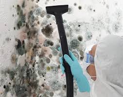 Best Mold Removal for HVAC Installations in Mount Hope, NJ